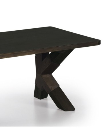 INDUSTRIAL - Mindi center table 120 x 60 x 46