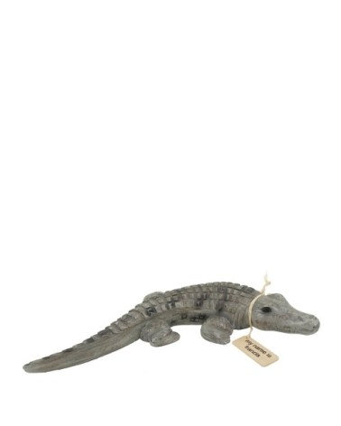 Crocodile francis en bois de Suar 48 x 23 x 7