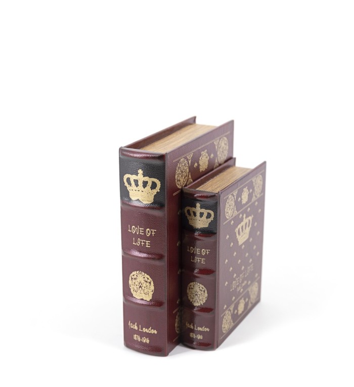 LIVRO DE LEATHERETTE S/2 20 x 6 x 25 / 16 x 5 x 20